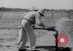 Image of Irrigation Palestine, 1945, second 61 stock footage video 65675038999