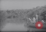 Image of Engineers Palestine, 1945, second 40 stock footage video 65675039003