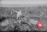 Image of Engineers Palestine, 1945, second 50 stock footage video 65675039003