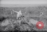 Image of Engineers Palestine, 1945, second 51 stock footage video 65675039003