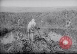 Image of Engineers Palestine, 1945, second 52 stock footage video 65675039003