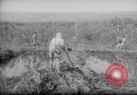 Image of Engineers Palestine, 1945, second 54 stock footage video 65675039003