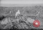 Image of Engineers Palestine, 1945, second 55 stock footage video 65675039003