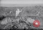 Image of Engineers Palestine, 1945, second 56 stock footage video 65675039003