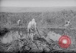 Image of Engineers Palestine, 1945, second 60 stock footage video 65675039003