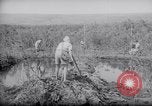 Image of Engineers Palestine, 1945, second 61 stock footage video 65675039003