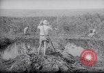 Image of Engineers Palestine, 1945, second 62 stock footage video 65675039003
