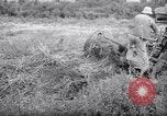 Image of Scraper Palestine, 1945, second 22 stock footage video 65675039004