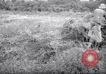 Image of Scraper Palestine, 1945, second 23 stock footage video 65675039004