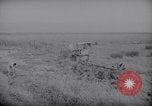 Image of Scraper Palestine, 1945, second 51 stock footage video 65675039004