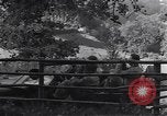 Standbild United States Army Soldaten Perriers-en-Beauficel Frankreich, 1944, aus Sekunde 8 historischem Filmmaterial Videoclip 65675039021