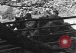 Standbild United States Army Soldaten Perriers-en-Beauficel Frankreich, 1944, aus Sekunde 15 historischem Filmmaterial Videoclip 65675039021
