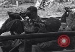 Standbild United States Army Soldaten Perriers-en-Beauficel Frankreich, 1944, aus Sekunde 20 historischem Filmmaterial Videoclip 65675039021
