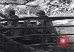 Standbild United States Army Soldaten Perriers-en-Beauficel Frankreich, 1944, aus Sekunde 56 historischem Filmmaterial Videoclip 65675039021