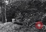 Standbild United States Army Soldaten Saint-Michel-de-Montaigne Frankreich, 1944, aus Sekunde 47 historischem Filmmaterial Videoclip 65675039022