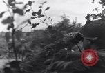 Standbild United States Army Soldaten Saint-Michel-de-Montaigne Frankreich, 1944, aus Sekunde 60 historischem Filmmaterial Videoclip 65675039022
