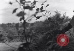 Standbild United States Army Soldaten Saint-Michel-de-Montaigne Frankreich, 1944, aus Sekunde 62 historischem Filmmaterial Videoclip 65675039022