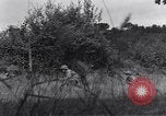 Standbild United States Army 119th Infantry Soldaten Mortain Frankreich, 1944, aus Sekunde 5 historischem Filmmaterial Videoclip 65675039023