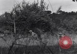 Standbild United States Army 119th Infantry Soldaten Mortain Frankreich, 1944, aus Sekunde 7 historischem Filmmaterial Videoclip 65675039023