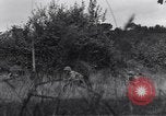 Standbild United States Army 119th Infantry Soldaten Mortain Frankreich, 1944, aus Sekunde 8 historischem Filmmaterial Videoclip 65675039023