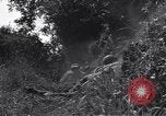 Standbild United States Army 119th Infantry Soldaten Mortain Frankreich, 1944, aus Sekunde 27 historischem Filmmaterial Videoclip 65675039023