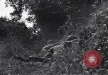 Standbild United States Army 119th Infantry Soldaten Mortain Frankreich, 1944, aus Sekunde 28 historischem Filmmaterial Videoclip 65675039023