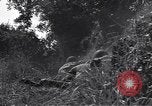 Standbild United States Army 119th Infantry Soldaten Mortain Frankreich, 1944, aus Sekunde 29 historischem Filmmaterial Videoclip 65675039023