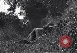 Standbild United States Army 119th Infantry Soldaten Mortain Frankreich, 1944, aus Sekunde 30 historischem Filmmaterial Videoclip 65675039023