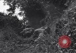 Standbild United States Army 119th Infantry Soldaten Mortain Frankreich, 1944, aus Sekunde 32 historischem Filmmaterial Videoclip 65675039023