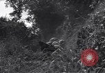 Standbild United States Army 119th Infantry Soldaten Mortain Frankreich, 1944, aus Sekunde 33 historischem Filmmaterial Videoclip 65675039023
