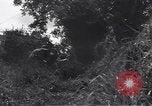 Standbild United States Army 119th Infantry Soldaten Mortain Frankreich, 1944, aus Sekunde 46 historischem Filmmaterial Videoclip 65675039023
