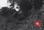 Standbild United States Army 119th Infantry Soldaten Mortain Frankreich, 1944, aus Sekunde 47 historischem Filmmaterial Videoclip 65675039023