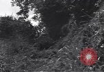 Standbild United States Army 119th Infantry Soldaten Mortain Frankreich, 1944, aus Sekunde 50 historischem Filmmaterial Videoclip 65675039023