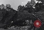 Standbild 155 Millimeter langen Tom Gewehre Mortain Frankreich, 1944, aus Sekunde 16 historischem Filmmaterial Videoclip 65675039025