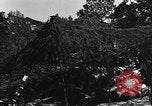 Standbild 155 Millimeter langen Tom Gewehre Mortain Frankreich, 1944, aus Sekunde 49 historischem Filmmaterial Videoclip 65675039025