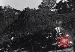 Standbild 155 Millimeter langen Tom Gewehre Mortain Frankreich, 1944, aus Sekunde 57 historischem Filmmaterial Videoclip 65675039025