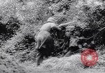 Image of German antiaircraft batteries battle Allied aircraft France, 1944, second 6 stock footage video 65675039034
