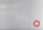 Image of German antiaircraft batteries battle Allied aircraft France, 1944, second 26 stock footage video 65675039034