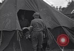 Image of war casualty France, 1944, second 28 stock footage video 65675039041