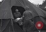 Image of war casualty France, 1944, second 30 stock footage video 65675039041