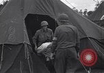Image of war casualty France, 1944, second 31 stock footage video 65675039041
