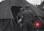 Image of war casualty France, 1944, second 32 stock footage video 65675039041