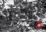 Image of German troops Russia, 1944, second 55 stock footage video 65675039042