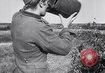 Image of German troops Russia, 1944, second 60 stock footage video 65675039042