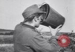 Image of German troops Russia, 1944, second 62 stock footage video 65675039042