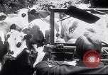 Immagine di Americani prigionieri di guerra Francia, 1944, secondo 18 filmato di repertorio 65675039043