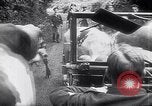 Immagine di Americani prigionieri di guerra Francia, 1944, secondo 20 filmato di repertorio 65675039043
