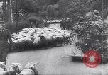Immagine di Americani prigionieri di guerra Francia, 1944, secondo 22 filmato di repertorio 65675039043