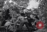 Image of SS Pz Abt 101 France, 1944, second 18 stock footage video 65675039045