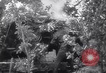Image of SS Pz Abt 101 France, 1944, second 20 stock footage video 65675039045